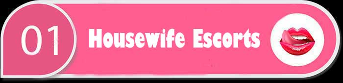 VIP Call Girls Services outcall 5 star hotels